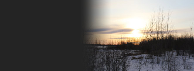 Wound Management Course